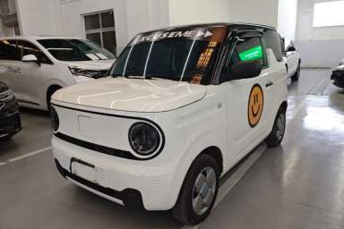 Used Geely Galaxy Panda 2023 Panda Mini 200km Endurance Bear