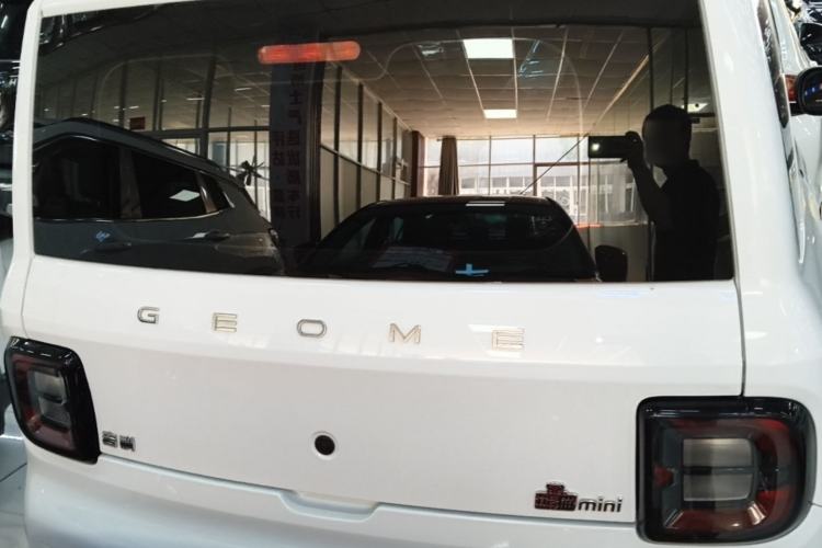 Used Geely Galaxy Panda 2023 Panda Mini 200km Endurance Bear Rear