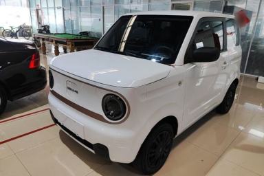 Used Geely Galaxy Panda 2023 Panda Mini 200km Endurance Bear