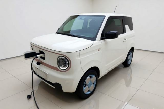 Ojetý Geely Galaxy Panda 2023 Panda Mini 120km Cute Bear