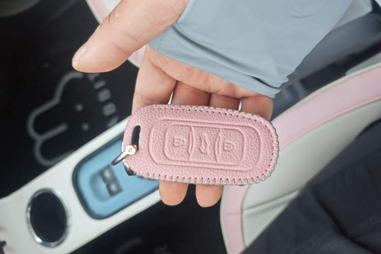 Used Geely Galaxy Panda 2023 Panda Mini 200km Endurance Bear Vehicle Key