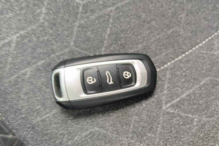 Used Geely Galaxy Panda 2023 Panda Mini 200km Endurance Bear Vehicle Key
