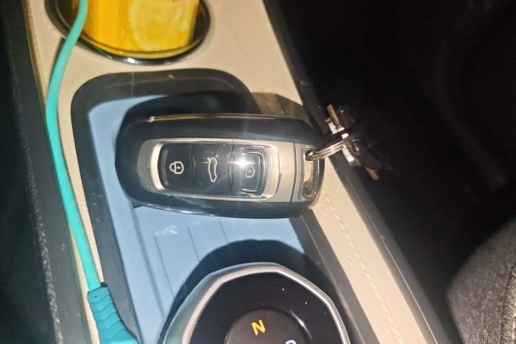 Used Geely Galaxy Panda 2023 Panda Mini 200km Endurance Bear Vehicle Key