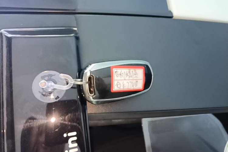 Used Geely Galaxy Panda 2023 Panda Mini 200km Endurance Bear Vehicle Key