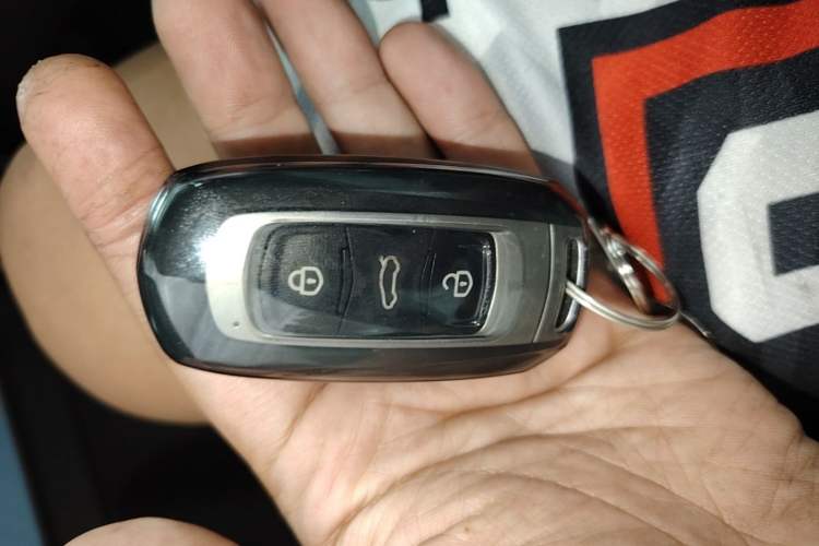 Used Geely Galaxy Panda 2023 Panda Mini 200km Little Yellow Duck Limited Edition — Happy as Can Be Vehicle Key