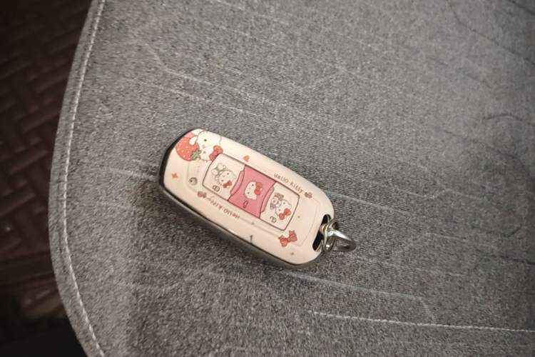 Used Geely Galaxy Panda 2023 Panda Mini 200km Endurance Bear Vehicle Key