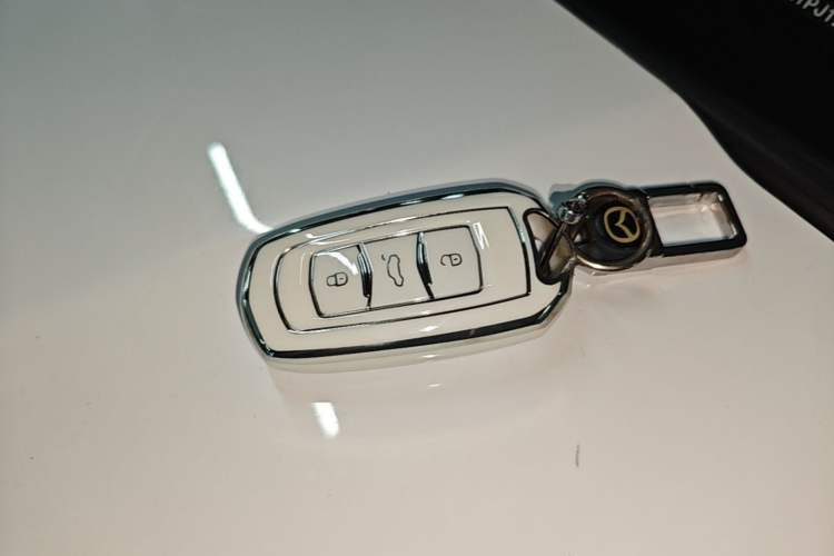 Used Geely Galaxy Panda 2023 Panda Mini 200km Endurance Bear Vehicle Key