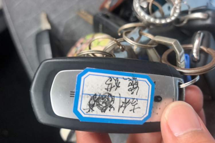Used Geely Galaxy Panda 2023 Panda Mini 200km Endurance Bear Vehicle Key