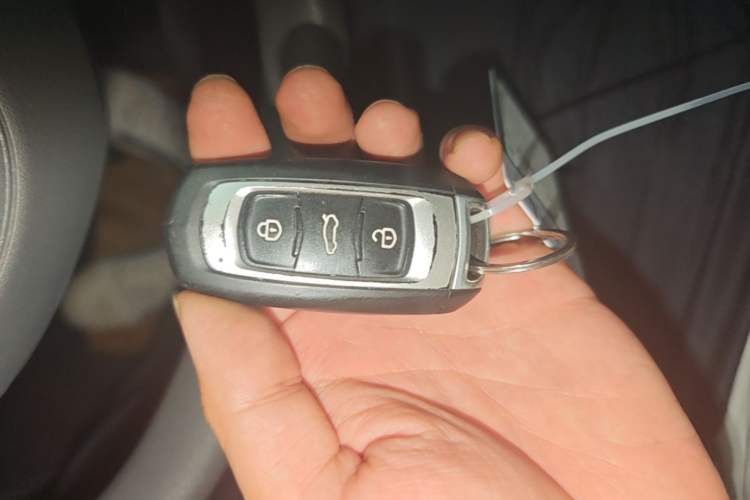 Used Geely Galaxy Panda 2023 Panda Mini 200km Endurance Bear Vehicle Key
