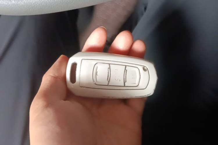 Used Geely Galaxy Panda 2023 Panda Mini 200km Endurance Bear Vehicle Key