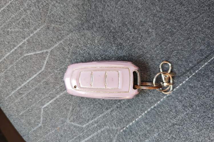 Used Geely Galaxy Panda 2023 Panda Mini 200km Endurance Bear Vehicle Key