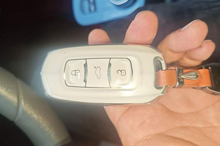 Used Geely Galaxy Panda 2023 Panda Mini 200km Endurance Bear Vehicle Key