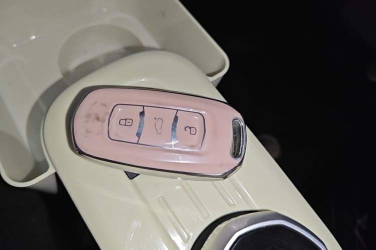 Used Geely Galaxy Panda 2023 Panda Mini 200km Endurance Bear Vehicle Key