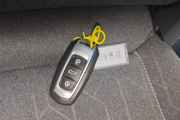 Used Geely Galaxy Panda 2023 Panda Mini 200km Endurance Bear Vehicle Key