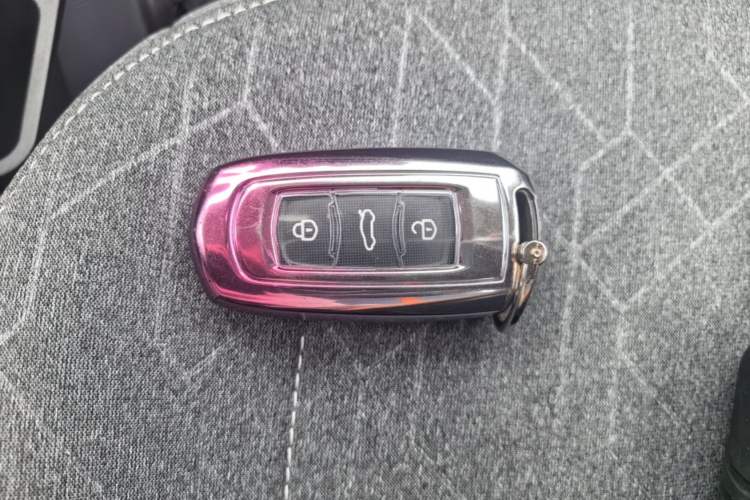 Used Geely Galaxy Panda 2023 Panda Mini 200km Endurance Bear Vehicle Key