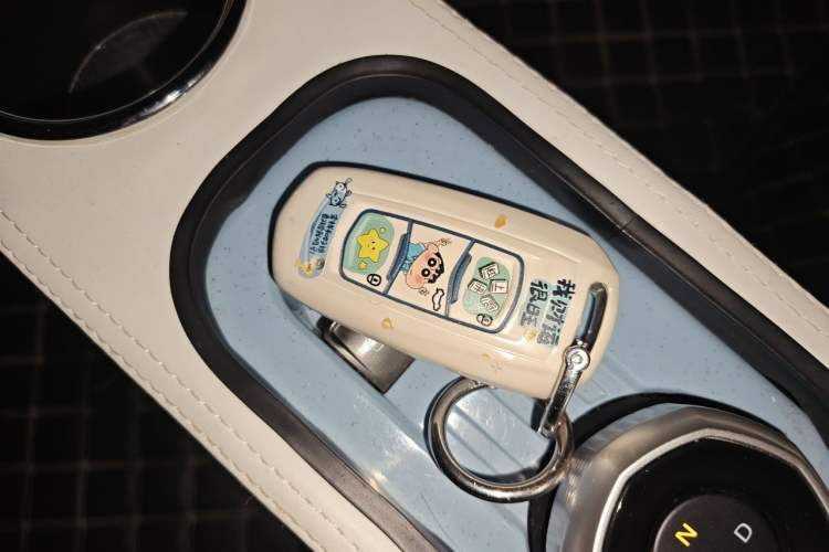 Used Geely Galaxy Panda 2023 Panda Mini 200km Endurance Bear Vehicle Key