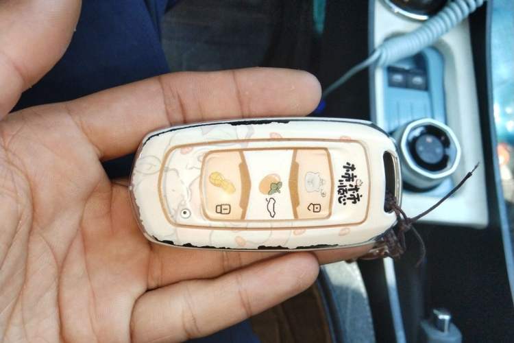 Used Geely Galaxy Panda 2023 Panda Mini 200km Endurance Bear Vehicle Key