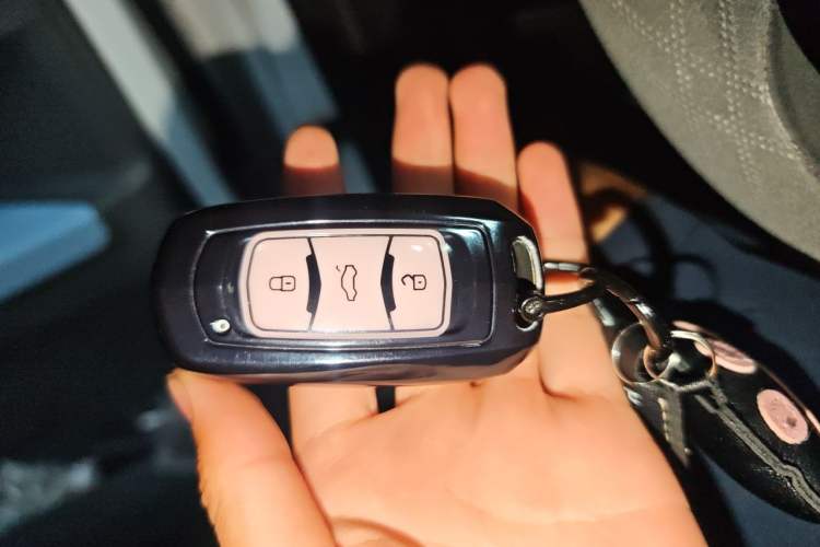 Used Geely Galaxy Panda 2023 Panda Mini 200km Endurance Bear Vehicle Key