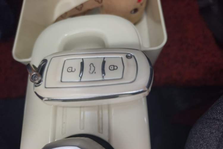 Used Geely Galaxy Panda 2023 Panda Mini 200km Dynamic Bear Vehicle Key