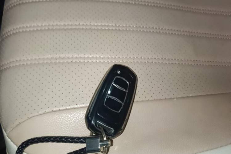 Used Geely Galaxy Panda 2023 Panda Mini 200km Endurance Bear Vehicle Key