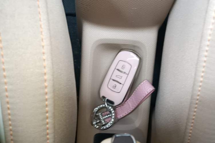 Used Geely Galaxy Panda 2023 Panda Mini 200km Endurance Bear Vehicle Key