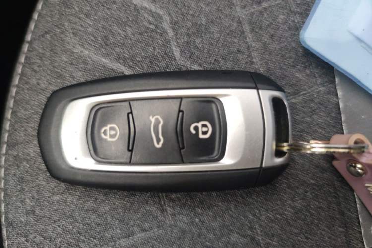 Used Geely Galaxy Panda 2023 Panda Mini 200km Endurance Bear Vehicle Key