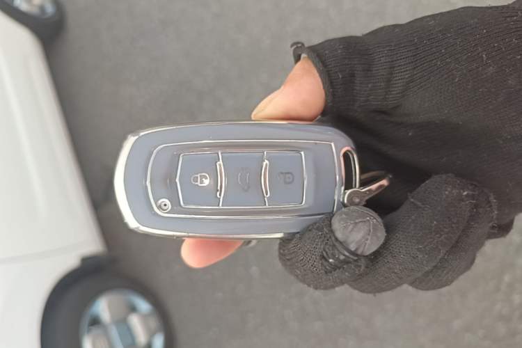 Used Geely Galaxy Panda 2023 Panda Mini 200km Endurance Bear Vehicle Key