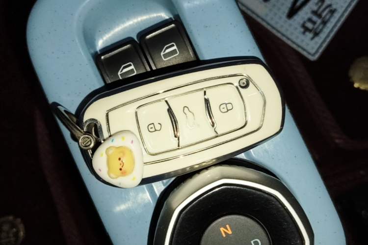 Used Geely Galaxy Panda 2023 Panda Mini 200km Endurance Bear Vehicle Key