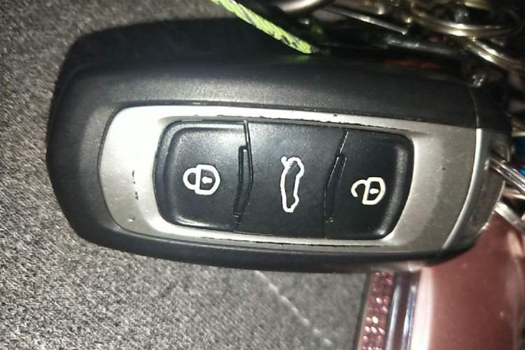 Used Geely Galaxy Panda 2023 Panda Mini 200km Endurance Bear Vehicle Key