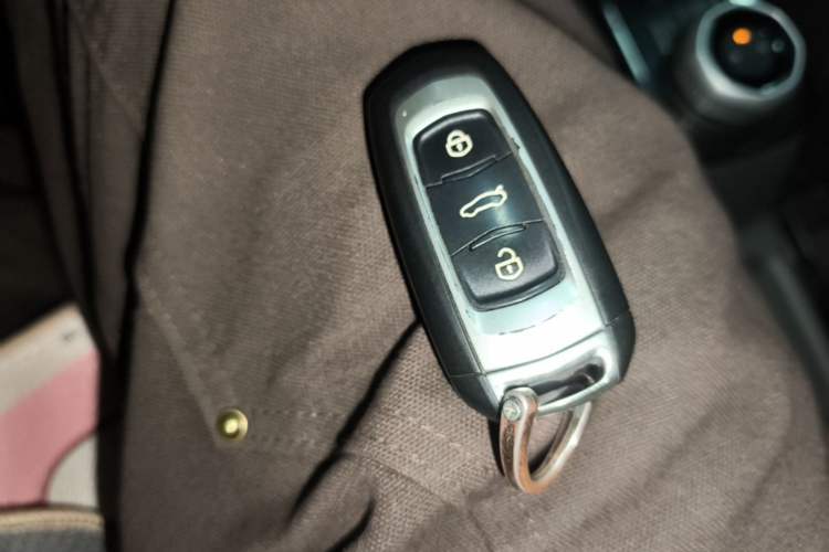 Used Geely Galaxy Panda 2023 Panda Mini 200km Endurance Bear Vehicle Key