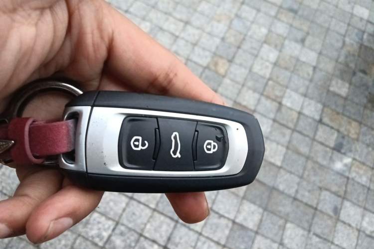 Used Geely Galaxy Panda 2023 Panda Mini 120km Cute Bear Vehicle Key