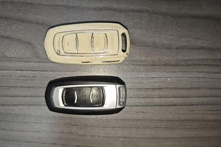 Used Geely Galaxy Panda 2023 Panda Mini 200km Endurance Bear Vehicle Key