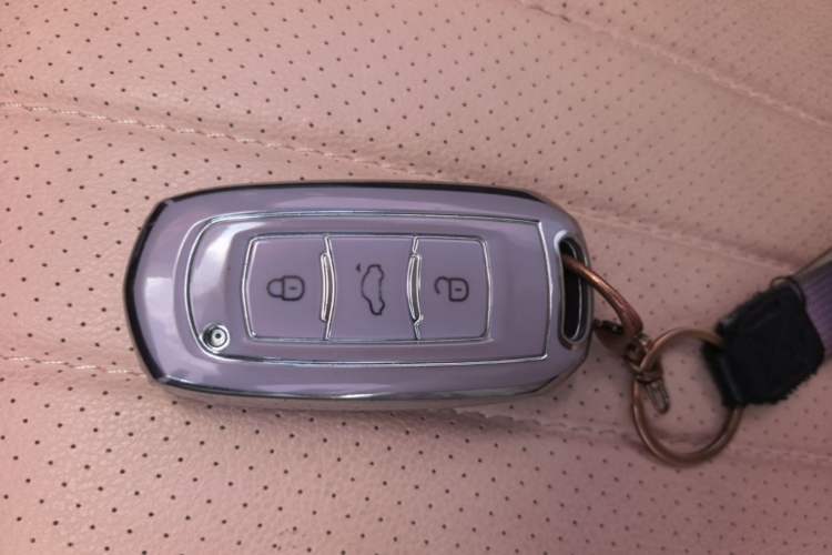 Used Geely Galaxy Panda 2023 Panda Mini 200km Endurance Bear Vehicle Key