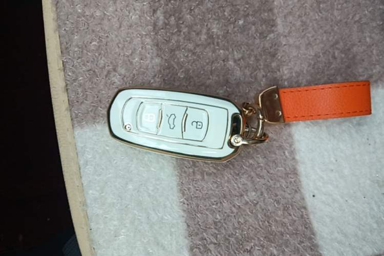 Used Geely Galaxy Panda 2023 Panda Mini 200km Endurance Bear Vehicle Key