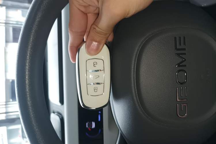 Used Geely Galaxy Panda 2023 Panda Mini 200km Endurance Bear Vehicle Key