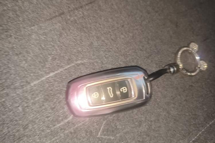 Used Geely Galaxy Panda 2023 Panda Mini 200km Dynamic Bear Vehicle Key