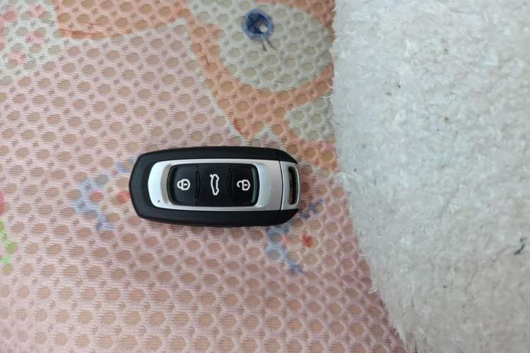 Used Geely Galaxy Panda 2023 Panda Mini 120km Super Cute Bear Vehicle Key