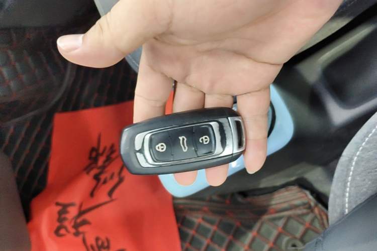 Used Geely Galaxy Panda 2023 Panda Mini 200km Endurance Bear Vehicle Key