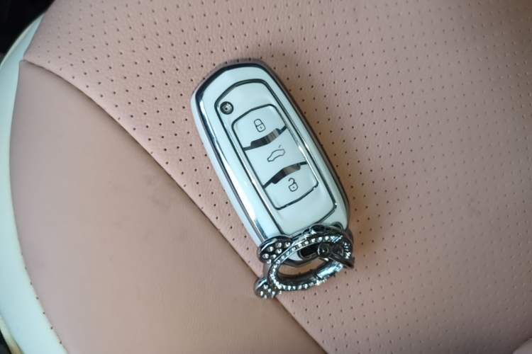 Used Geely Galaxy Panda 2023 Panda Mini 200km Dynamic Bear Vehicle Key