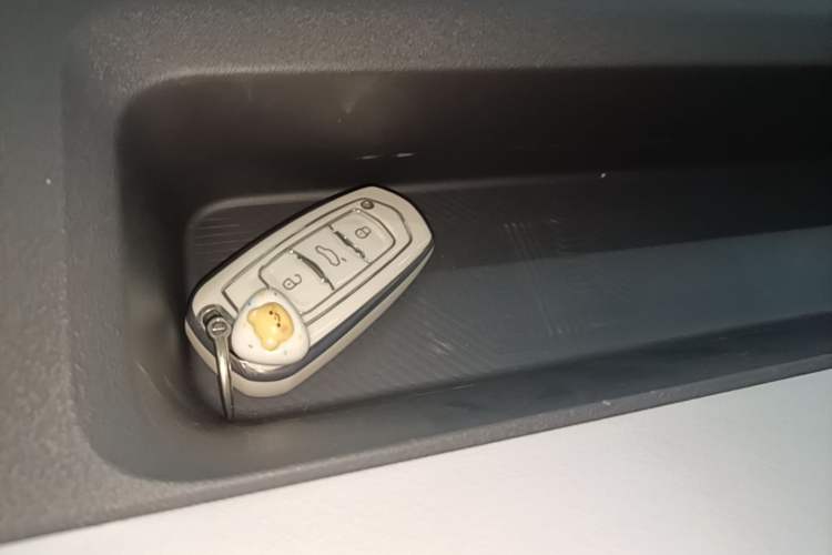 Used Geely Galaxy Panda 2023 Panda Mini 200km Endurance Bear Vehicle Key