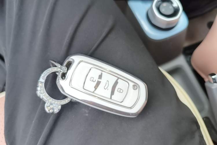 Used Geely Galaxy Panda 2023 Panda Mini 200km Dynamic Bear Vehicle Key