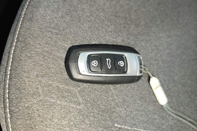 Used Geely Galaxy Panda 2023 Panda Mini 200km Endurance Bear Vehicle Key