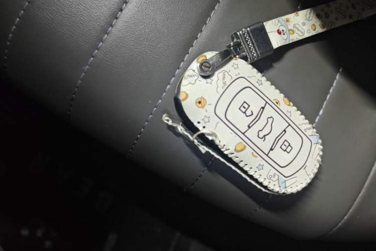 Used Geely Galaxy Panda 2023 Panda Mini 200km Endurance Bear Vehicle Key