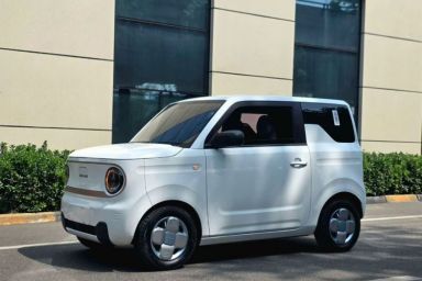 Used Geely Galaxy Panda 2023 Panda Mini 200km Endurance Bear