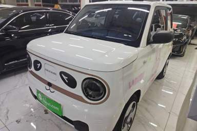 Used Geely Galaxy Panda 2023 Panda Mini 200km Dynamic Bear