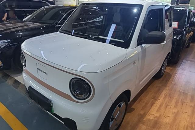 Geely Galaxy Panda 2023 Panda Mini 200km Endurance Bear usado