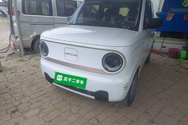 Used Geely Galaxy Panda 2023 Panda Mini 120km Super Cute Bear