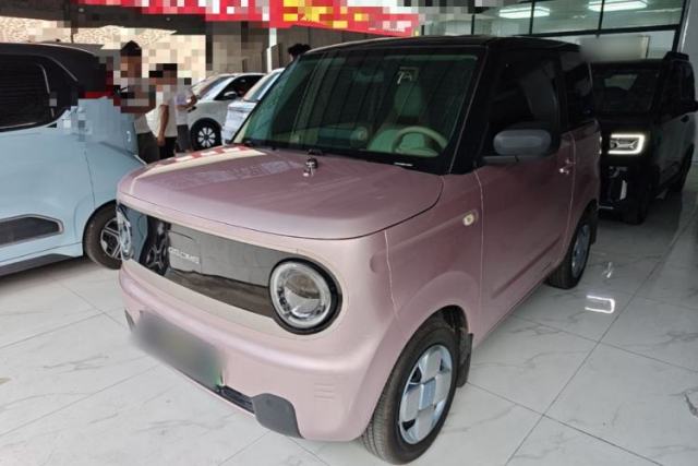 Ojetý Geely Galaxy Panda 2023 Panda Mini 200km Endurance Bear