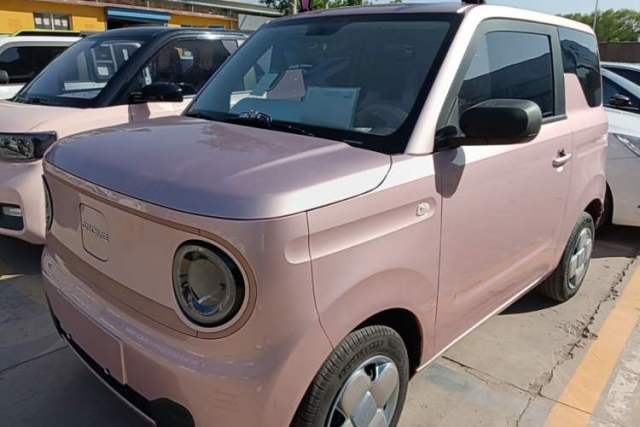 Used Geely Galaxy Panda 2024 Panda Mini 200km Endurance Bear