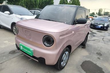 Used Geely Galaxy Panda 2024 Panda Mini 200km Endurance Bear